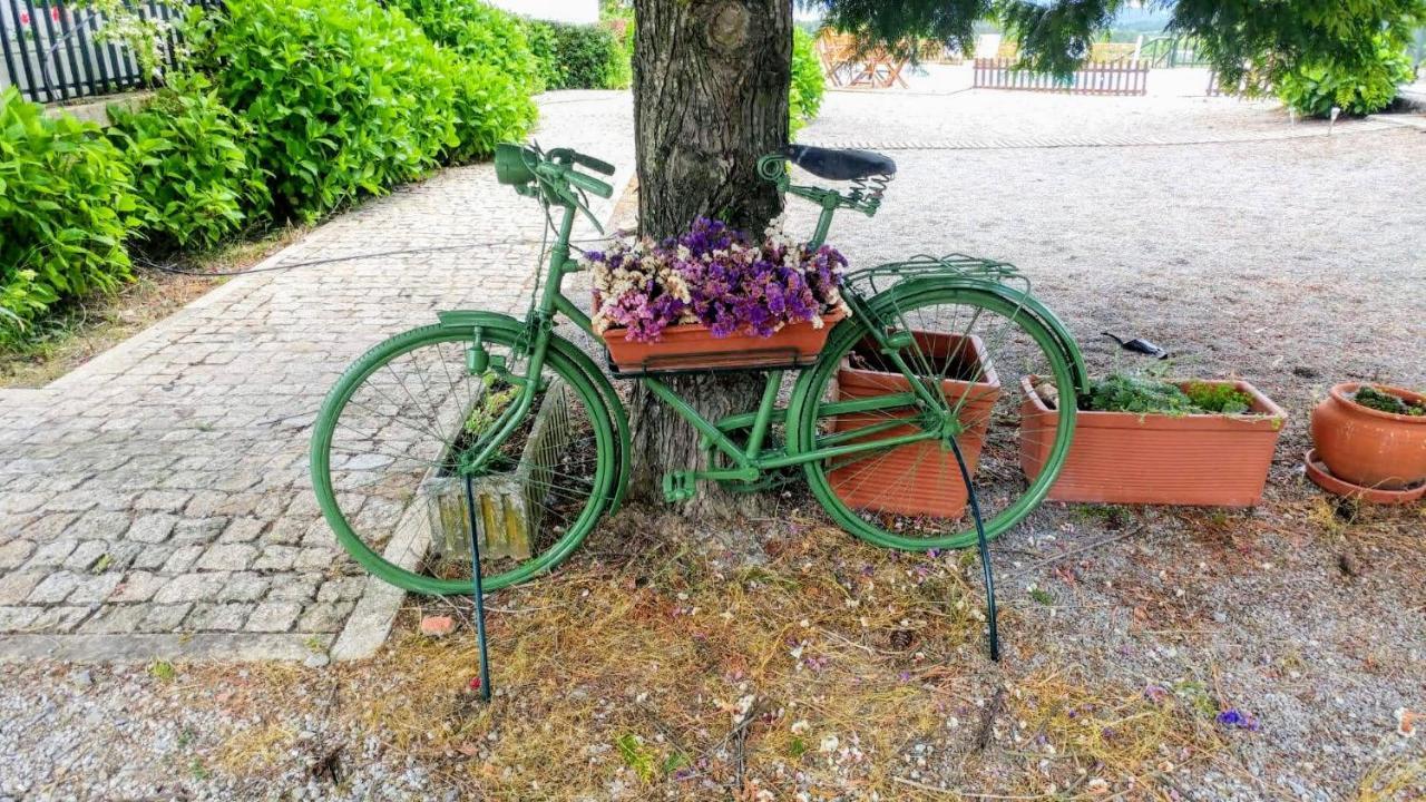 Quinta Do Sol Homestay Alijo