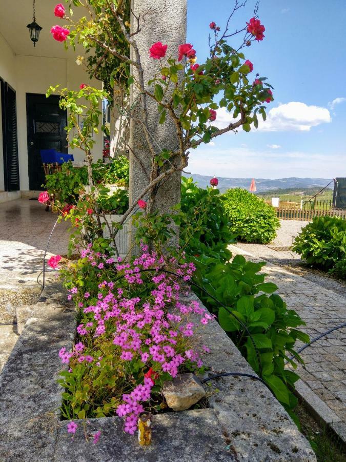 Quinta Do Sol Homestay *